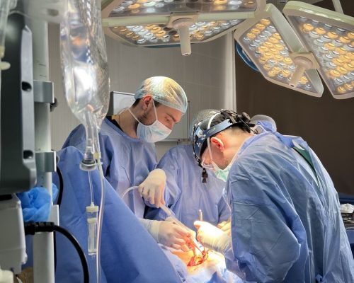 photo_5303175744949705850_y